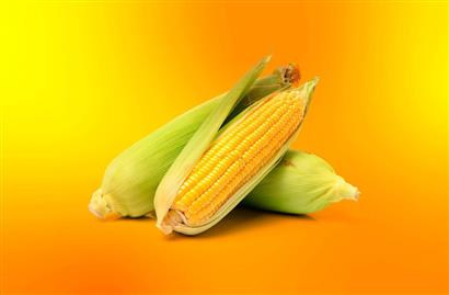 دامنه‌های مشابه و نحوه تشخیص آن‌ها